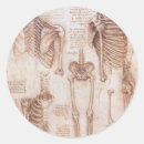 Search for vintage anatomy stickers Medicine