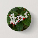 Search for bleed accessories White