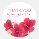 Search for hawaiian plumeria stickers Luau