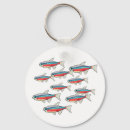 Search for tropical round key rings Aquarium