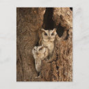 Search for stickers postcards Animal