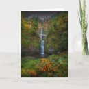 Search for multnomah fall cards Bridge