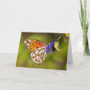 Search for passion cards Butterfly