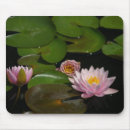 Search for pink waterlily electronics Zen