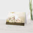 Search for cat heaven cards Kitty