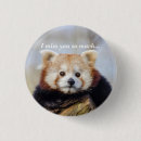 Search for china panda accessories Himalayas