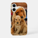Search for labrador iphone cases Cute