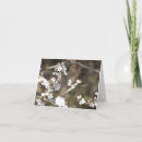 Search for blossom blank cards Cherry