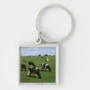 Search for holstein key rings Agriculture