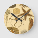 Search for vintage fish clocks Sand dollar