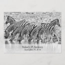 Search for zebra wedding invitations African