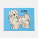 Search for havanese Pet