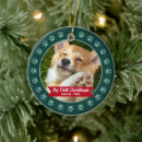 Search for paw christmas tree decorations Pet