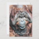 Search for orangutans invitations Cute