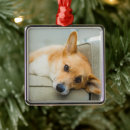 Search for couch christmas tree decorations Cute