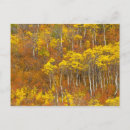Search for 2 colour postcards Fall