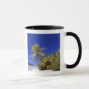 Search for cook islands mugs Pacific