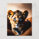 Search for cute lion postcards Wildlife