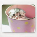 Search for one animal electronics Consumerproduct