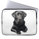 Search for black labradors electronics Cute dogs