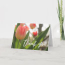 Search for tulips thank you cards Photography