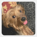 Search for family pet stickers Baby