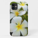 Search for plumeria flowers iphone cases Plumerias
