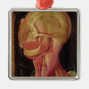 Search for human anatomy christmas tree decorations 16th
