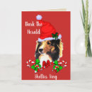Search for sheltie christmas cards Pets