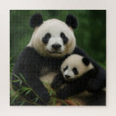 Search for panda puzzles Cute animals