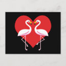 Search for cartoon flamingo postcards Animal