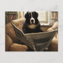 Search for mountain dog postcards Cute