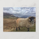 Search for ireland photo postcards Connemara
