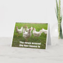 Search for funny chicken birthday cards Farmer