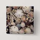 Search for shell badges Sand