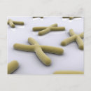 Search for genetics postcards Medicine