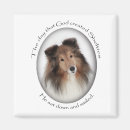 Search for creations magnets Animals