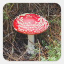 Search for fungi stickers Botanical