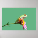 Search for tree frog posters Reptile