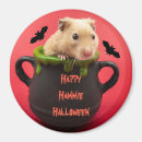 Search for hammie magnets Adorable