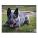 Search for cool blue photography Cute