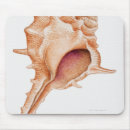 Search for creatures mousepads Animal
