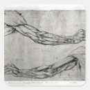 Search for anatomy stickers Sketch