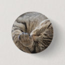 Search for kitty kid badges Children