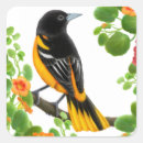 Search for baltimore oriole stickers Maryland