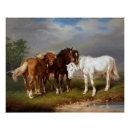 Search for vintage equestrian horse posters Rustic
