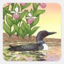 Search for loon bird stickers Minnesota state bird