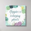 Search for happines Cactus