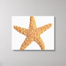 Search for one animal canvas prints Photography