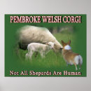 Search for shepard art Sheep